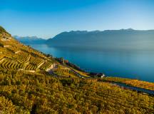 Discover Switzerland by Rail