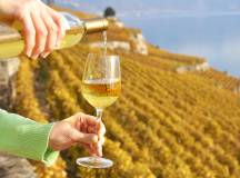 Discover Switzerland by Rail