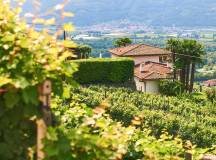Discover Switzerland by Rail