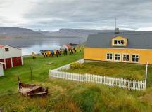 New Polar Holidays