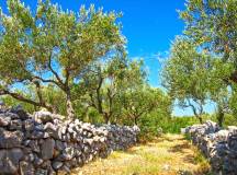 Croatia