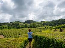 Azores Adventure