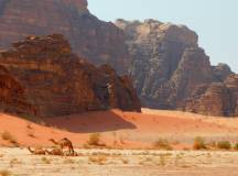 Signature Jordan | Stars and Desert Sands