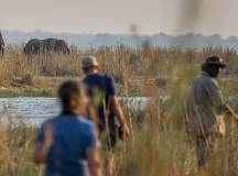 Citizen Science Departures