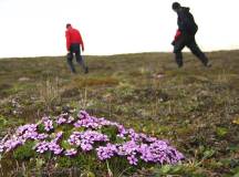 New Cultural Holidays