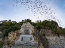 Bat Cave in Battambang, Cambodia