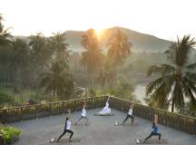 Signature Indonesia | The Sacred Wild Isles