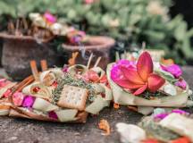 Signature Indonesia | The Sacred Wild Isles