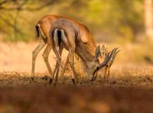 New Cycling Holidays