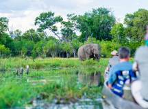 Scenic mokoro safari on Khwai River, Okavango Delta, Botswana