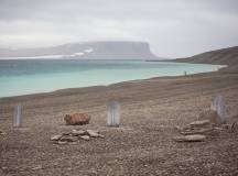 Arctic