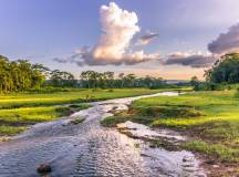 Chitwan national park