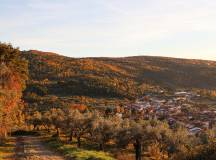castañar san martin