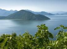 Skadar Lake
