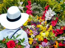 Traditional Colombian silletero wearing a white hat preparing a colorful floral arrangement during the Medellin Flower Festival parade