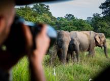Yala National Park