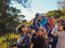 Pantanal – Land of the Jaguar