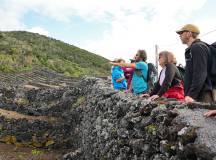 Walking in the Azores