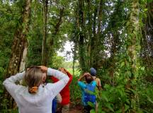 Borneo Wildlife Discoverer