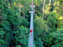 Borneo Wildlife Discoverer