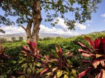 Costa Rica’s Coastal Secrets