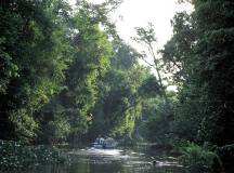 Borneo Wildlife Discoverer