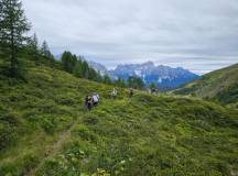 Classic Dolomites Hikes – Premium Adventure