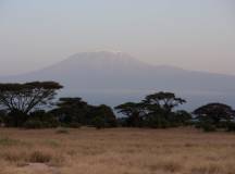 Kenya Safari Adventure