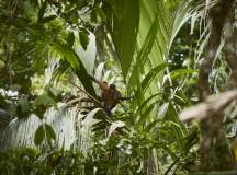 Costa Rica Coast to Coast Ride