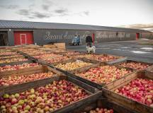 Baltic Highlights – Premium Adventure