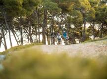 Cycling Croatia’s Istrian Peninsula