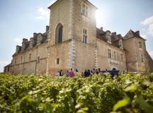 Discover Burgundy & Alsace – Premium Adventure