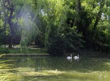 Walking North Croatia’s Islands & Lakes