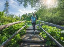 Walking North Croatia’s Islands & Lakes