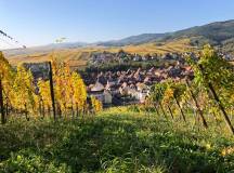 Discover Burgundy & Alsace – Premium Adventure