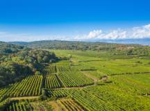 Walking North Croatia’s Islands & Lakes