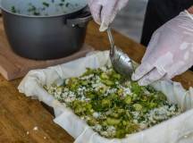 Signature Greece | Songs of the Lyre