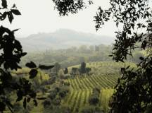 Signature Italy | Allure of Renaissance Tuscany
