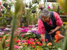 Signature Mexico | Among Ruins & Ritual