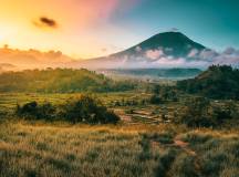 Signature Indonesia | The Sacred Wild Isles