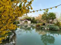 Highlights of Uzbekistan