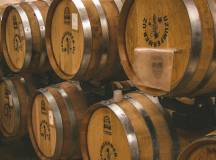 Highlights of Uzbekistan