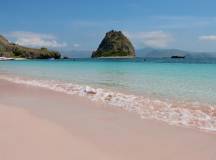 Signature Indonesia | The Sacred Wild Isles