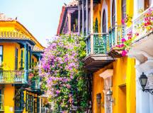 Signature Colombia | Stories Beneath Wax Palms