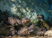 Signature Mexico | Among Ruins & Ritual