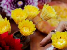 Signature Vietnam | In Fabric & Folklore