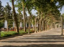 Highlights of Central Asia