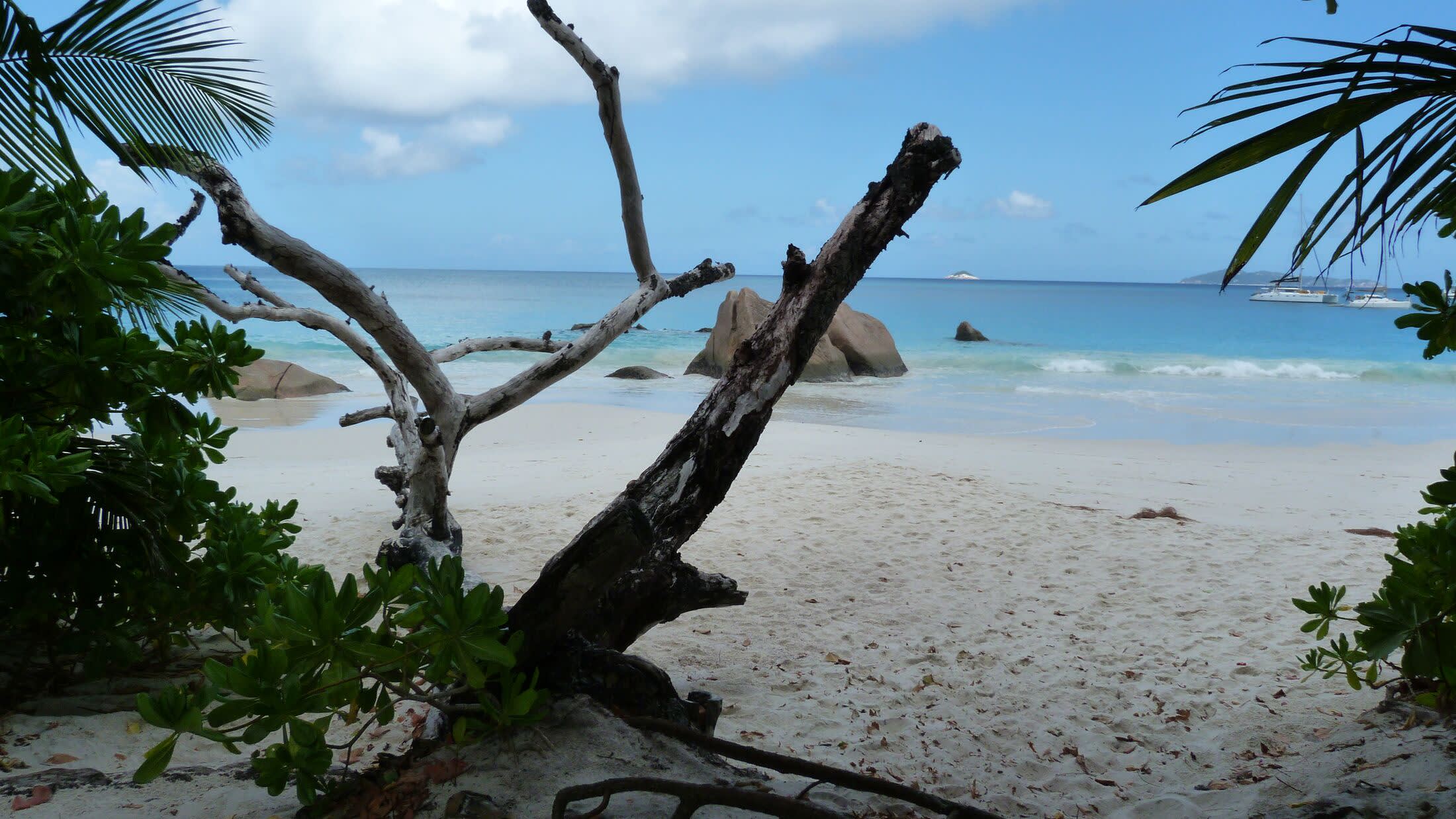 Anse Volbert, Praslin