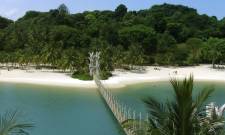 a body of water surrounded by palm trees