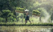 a person standing in front of a tree
